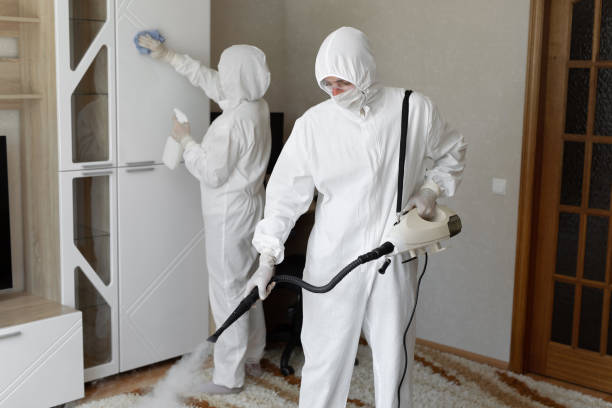 Crawl Space Mold Removal in Clinton, NY